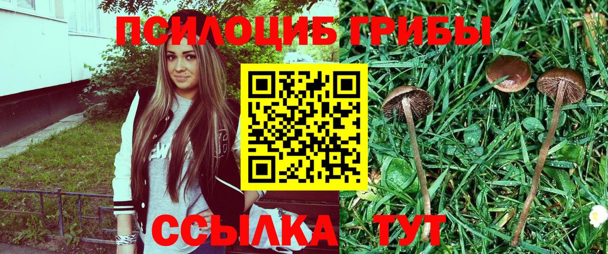 Саров  Галлюциногенные грибы MAGIC MUSHROOMS  Вход с VPN  Псилоцибиновые грибы MAGIC MUSHROOMS 