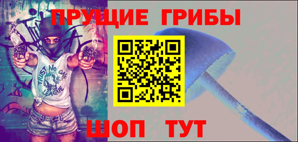 Псилоцибиновые грибы Psilocybine cubensis Саров